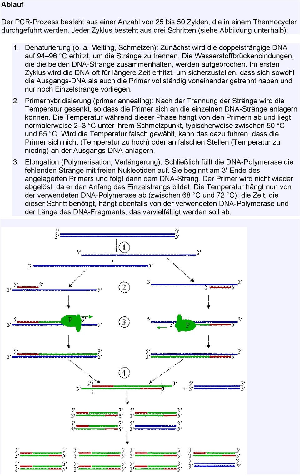 Die Wasserstoffbrückenbindungen, die die beiden DNA-Stränge zusammenhalten, werden aufgebrochen.