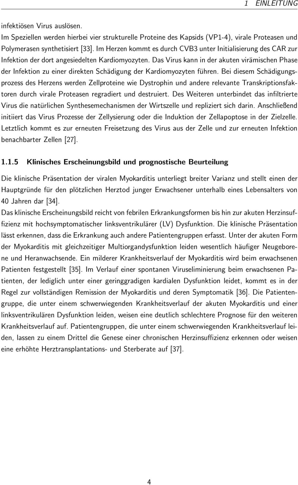 Das Virus kann in der akuten virämischen Phase der Infektion zu einer direkten Schädigung der Kardiomyozyten führen.