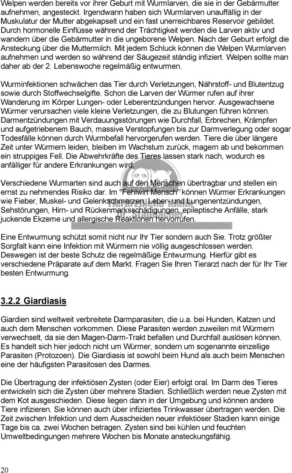 Durch hormonelle Einflüsse während der Trächtigkeit werden die Larven aktiv und wandern über die Gebärmutter in die ungeborene Welpen. Nach der Geburt erfolgt die Ansteckung über die Muttermilch.