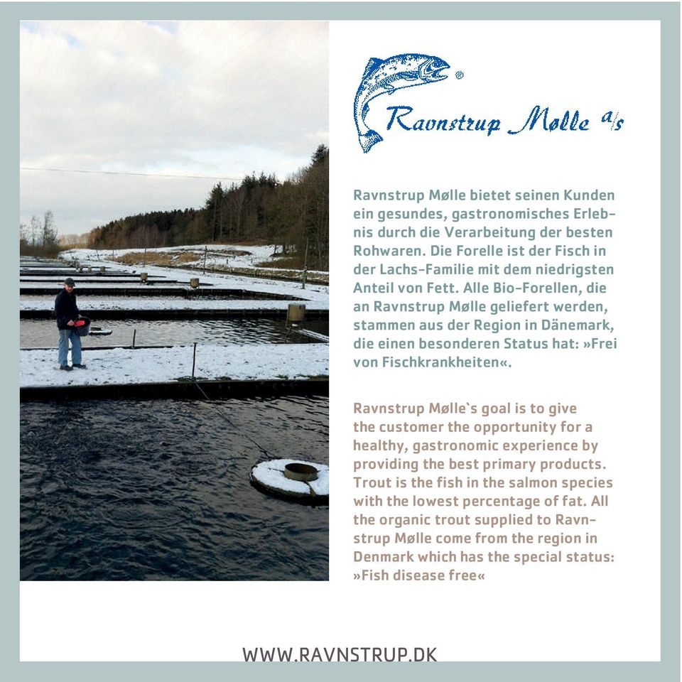 Alle Bio-Forellen, die an Ravnstrup Mølle geliefert werden, stammen aus der Region in Dänemark, die einen besonderen Status hat:»frei von Fischkrankheiten«.