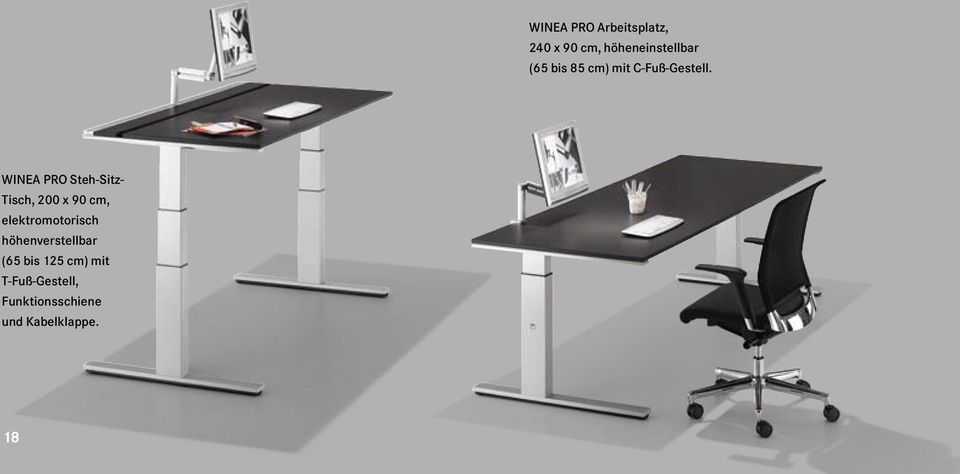 WINEA PRO Steh-Sitz- Tisch, 200 x 90 cm, elektromotorisch