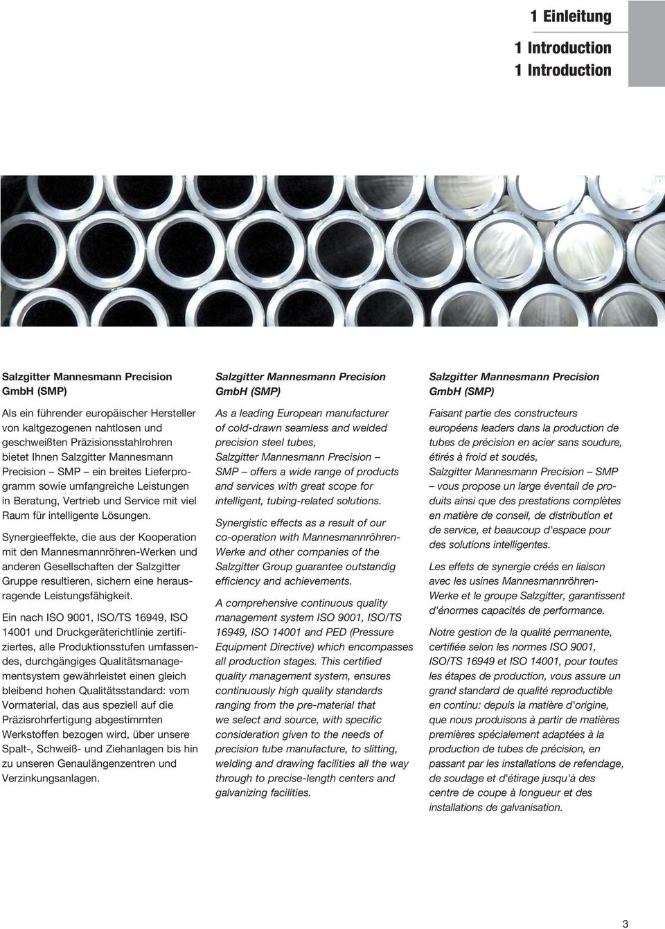 Synergieeffekte, die aus der Kooperation mit den Mannesmannröhren-Werken und anderen Gesellschaften der Salzgitter Gruppe resultieren, sichern eine herausragende Leistungsfähigkeit.