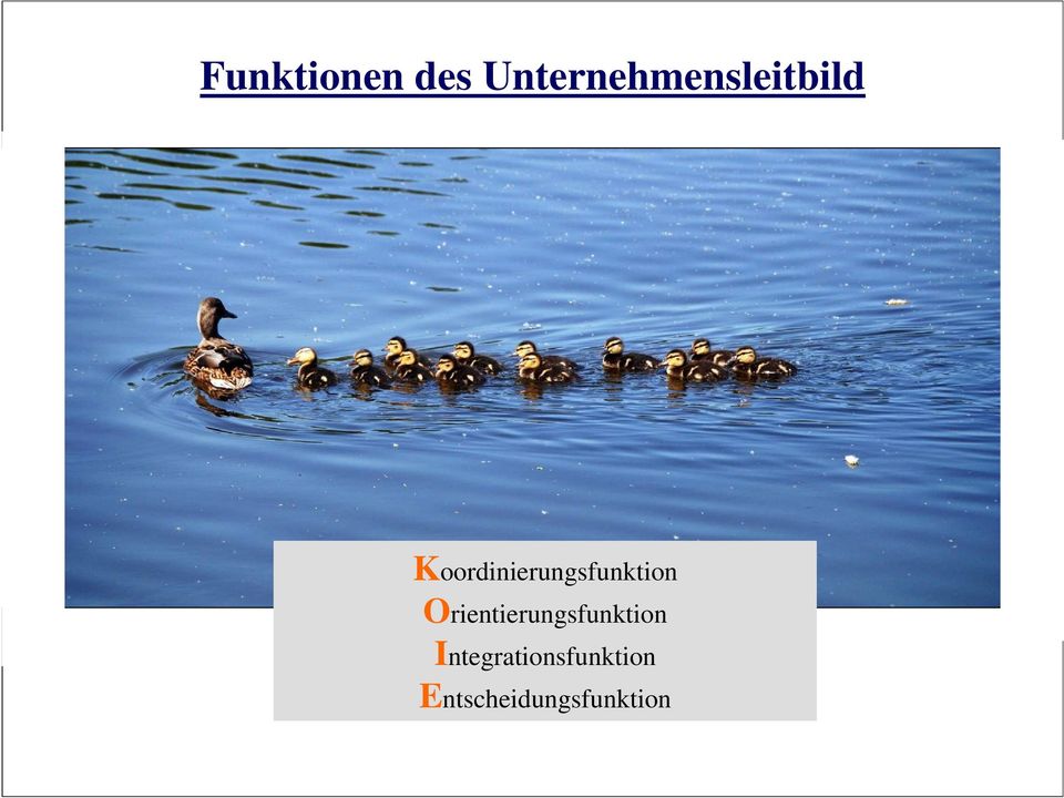 Koordinierungsfunktion