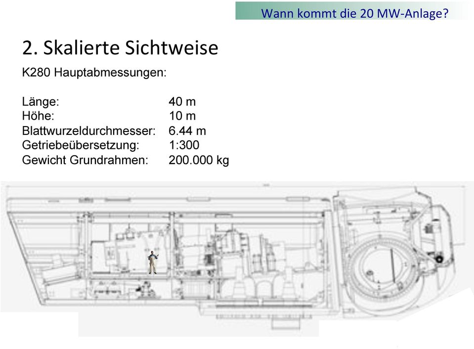 40 m Höhe: 10 m Blattwurzeldurchmesser: