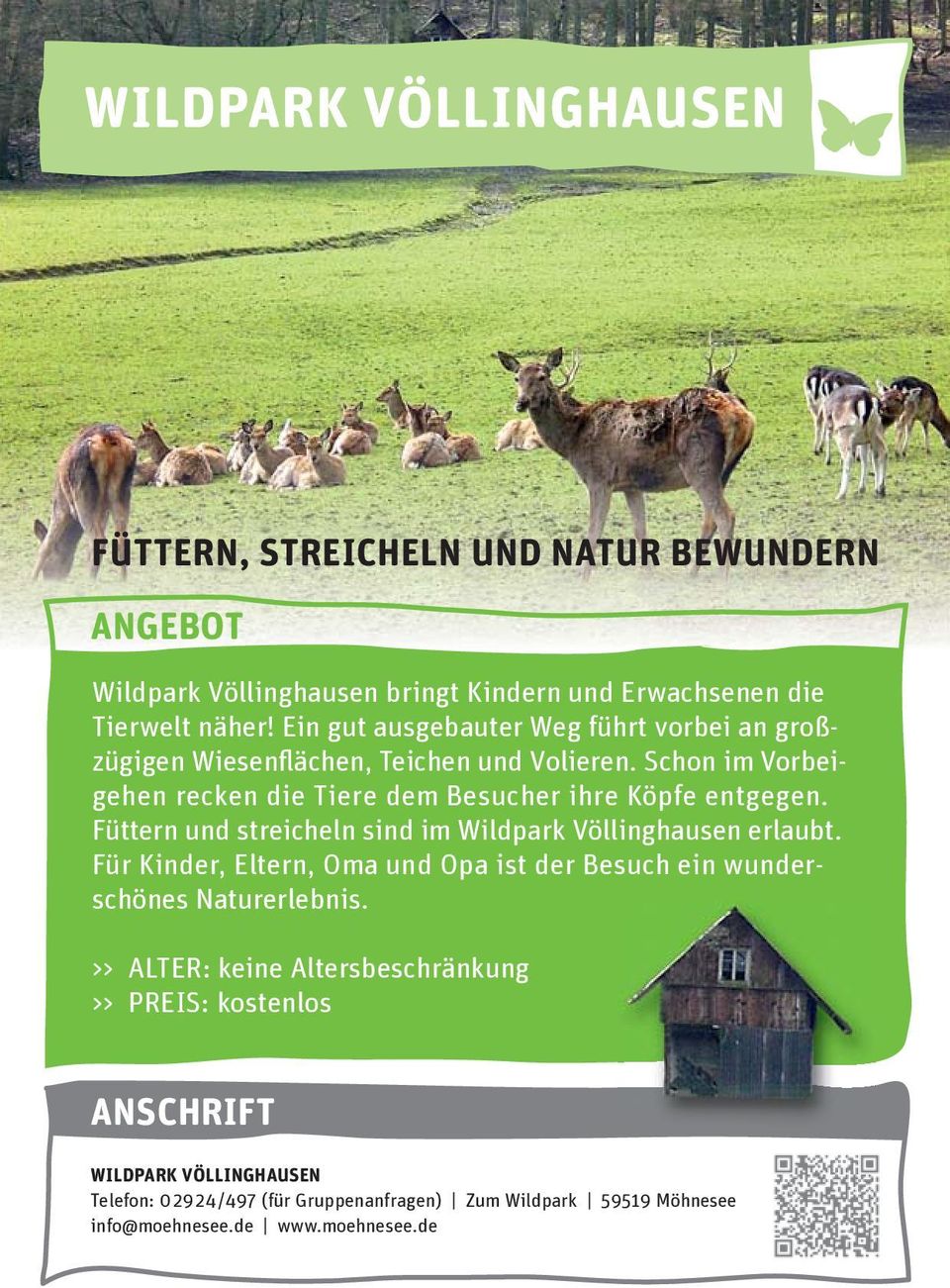 Schon im Vorbeigehen recken die Tiere dem Besucher ihre Köpfe entgegen. Füttern und streicheln sind im Wildpark Völlinghausen erlaubt.