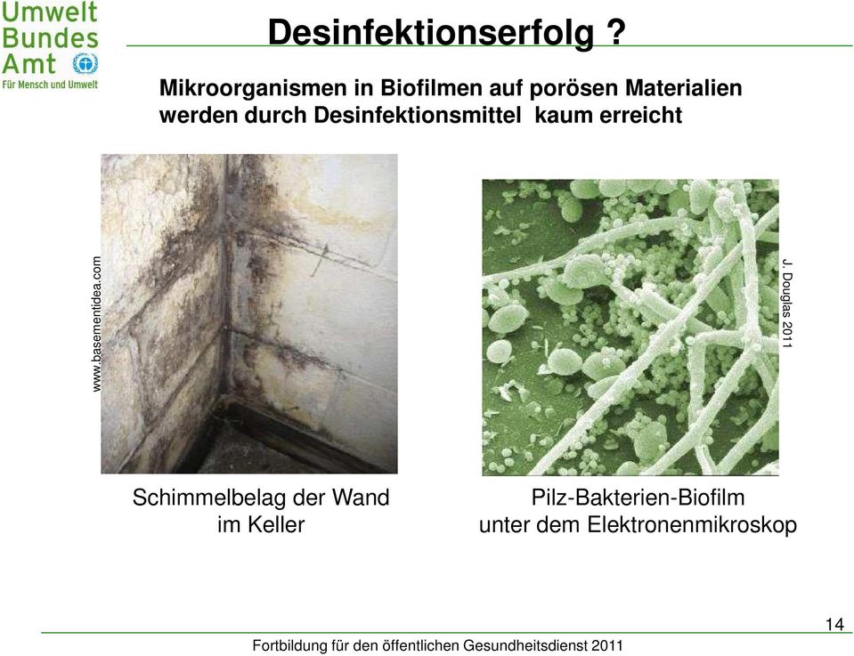 durch Desinfektionsmittel kaum erreicht www.basementidea.