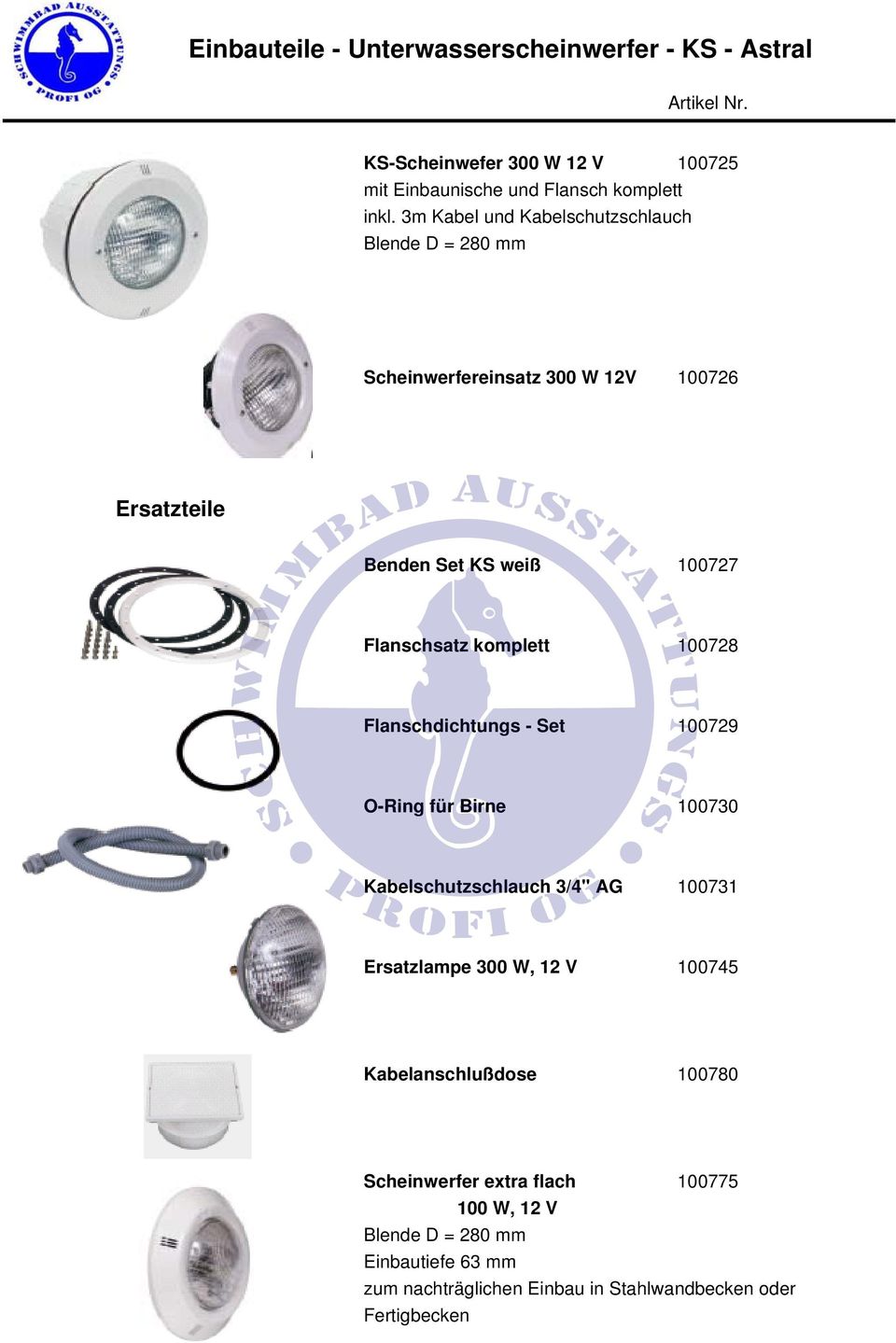 100728 Flanschdichtungs - Set 100729 O-Ring für Birne 100730 Kabelschutzschlauch 3/4" AG 100731 Ersatzlampe 300 W, 12 V 100745