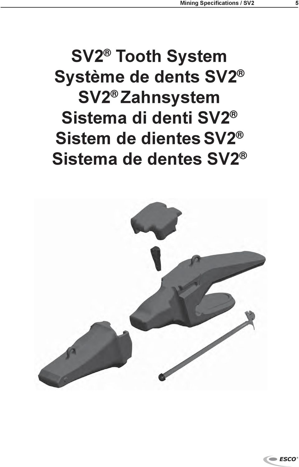 SV2 Zahnsystem Sistema di denti SV2