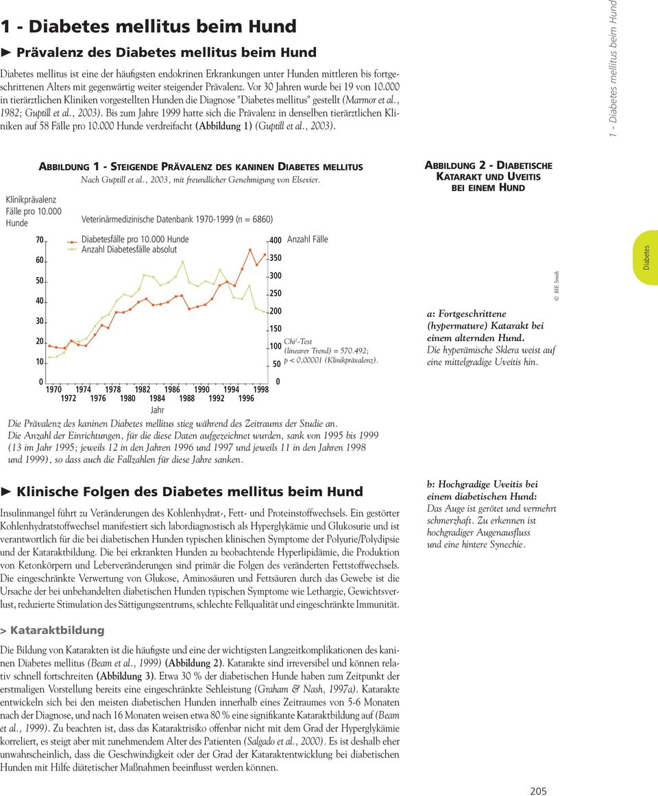 Bis zum Jahre 1999 hatte sich die Prävalenz in denselben tierärztlichen Kliniken auf 58 Fälle pro 10.000 Hunde verdreifacht (Abbildung 1) (Guptill et al., 2003).