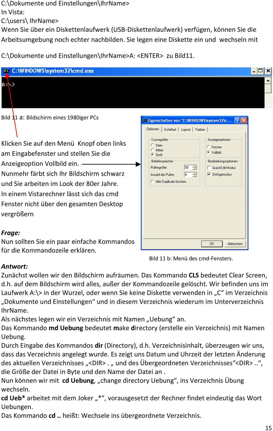 Bild 11 a: Bildschirm eines 1980iger PCs Klicken Sie auf den Menü Knopf oben links am Eingabefenster und stellen Sie die Anzeigeoption Vollbild ein.