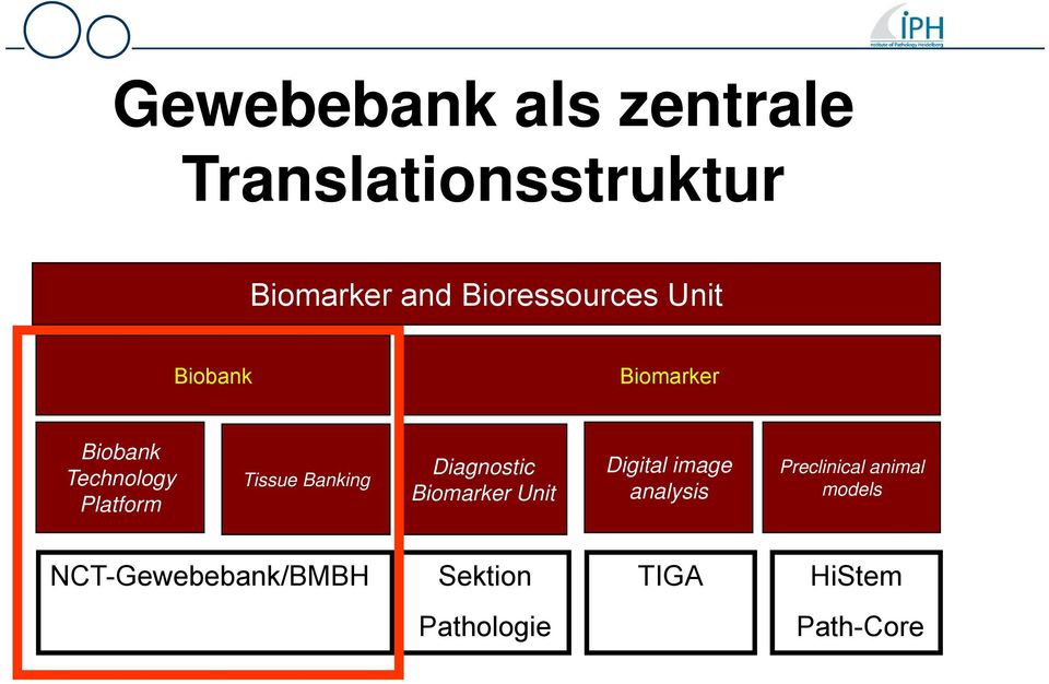 Tissue Banking Diagnostic Biomarker Unit Digital image analysis