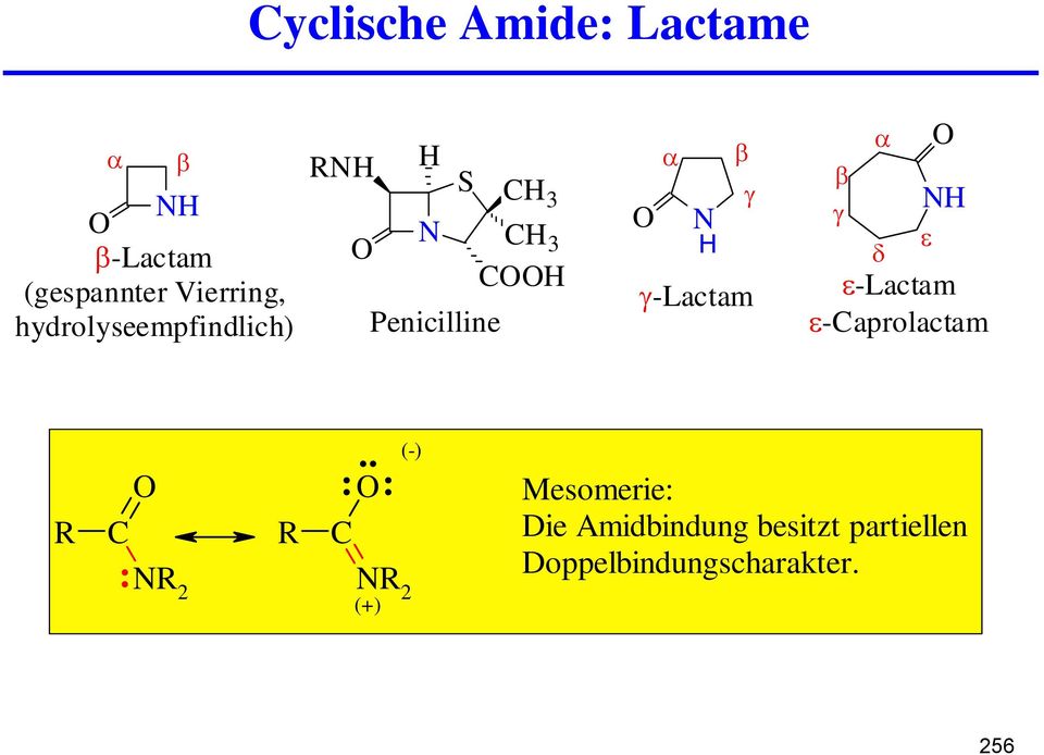 β γ α δ ε ε-lactam ε-caprolactam R C : R 2 R.