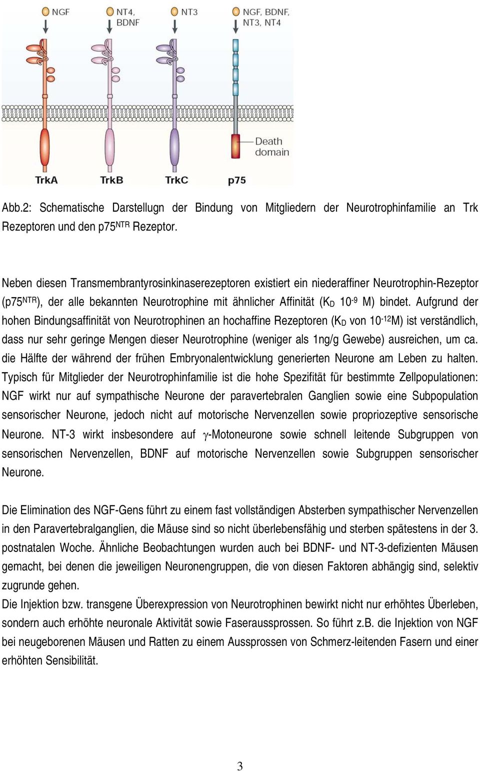 Aufgrund der hohen Bindungsaffinität von Neurotrophinen an hochaffine Rezeptoren (K D von 10-12 M) ist verständlich, dass nur sehr geringe Mengen dieser Neurotrophine (weniger als 1ng/g Gewebe)