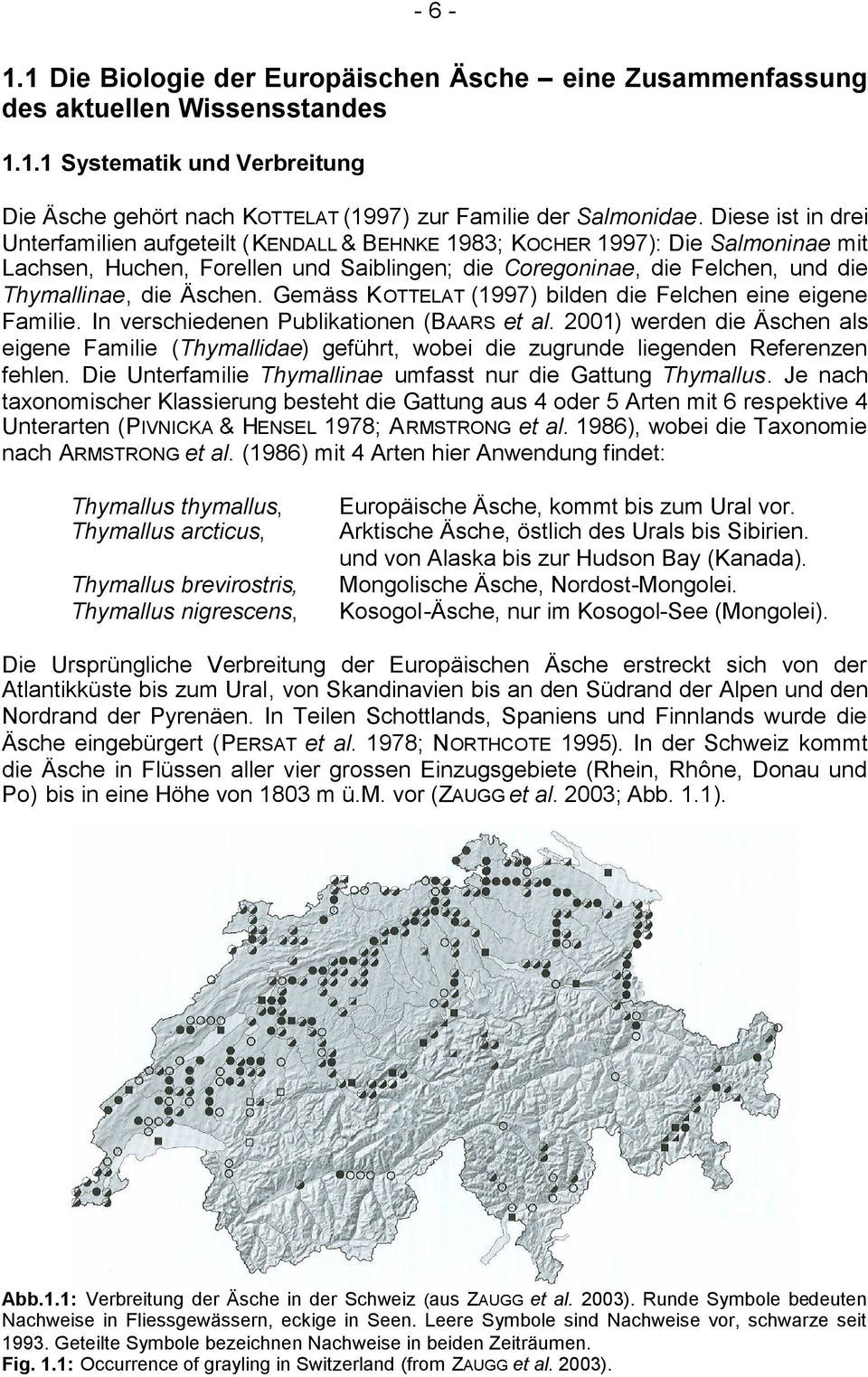 Äschen. Gemäss K OTTELAT (1997) bilden die Felchen eine eigene Familie. In verschiedenen Publikationen (BAARS et al.