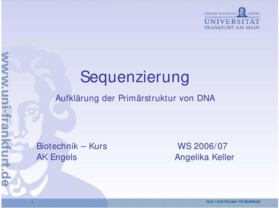 DNA Biotechnik Kurs WS