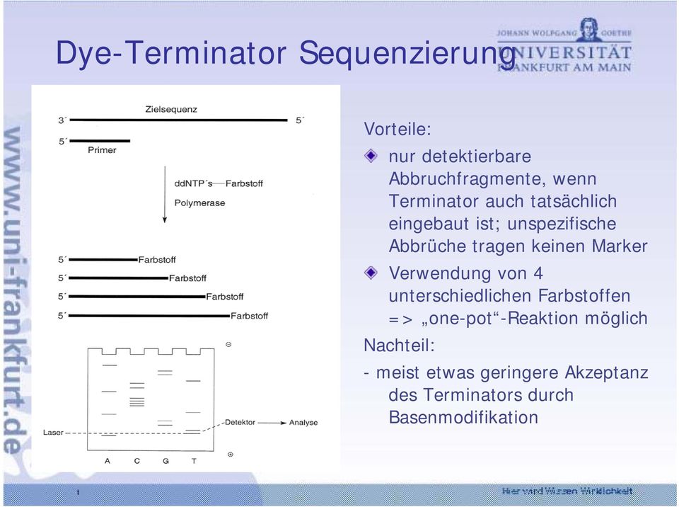 Marker Verwendung von 4 unterschiedlichen Farbstoffen => one-pot -Reaktion