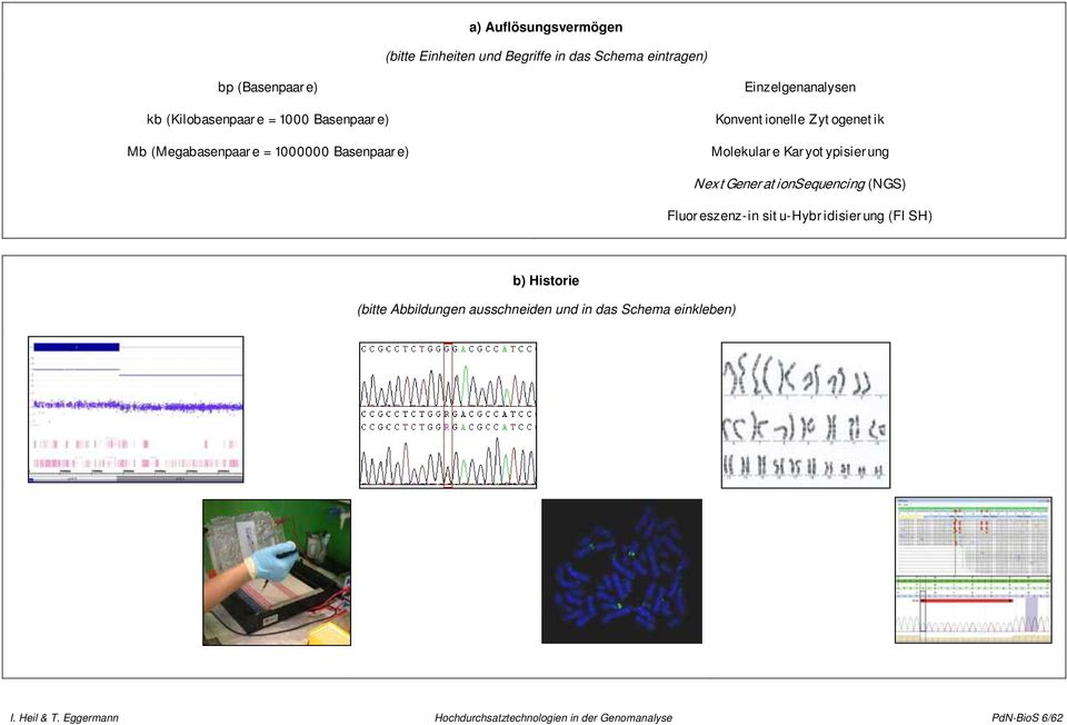 Konventionelle Zytogenetik Molekulare Karyotypisierung NextGenerationSequencing (NGS)