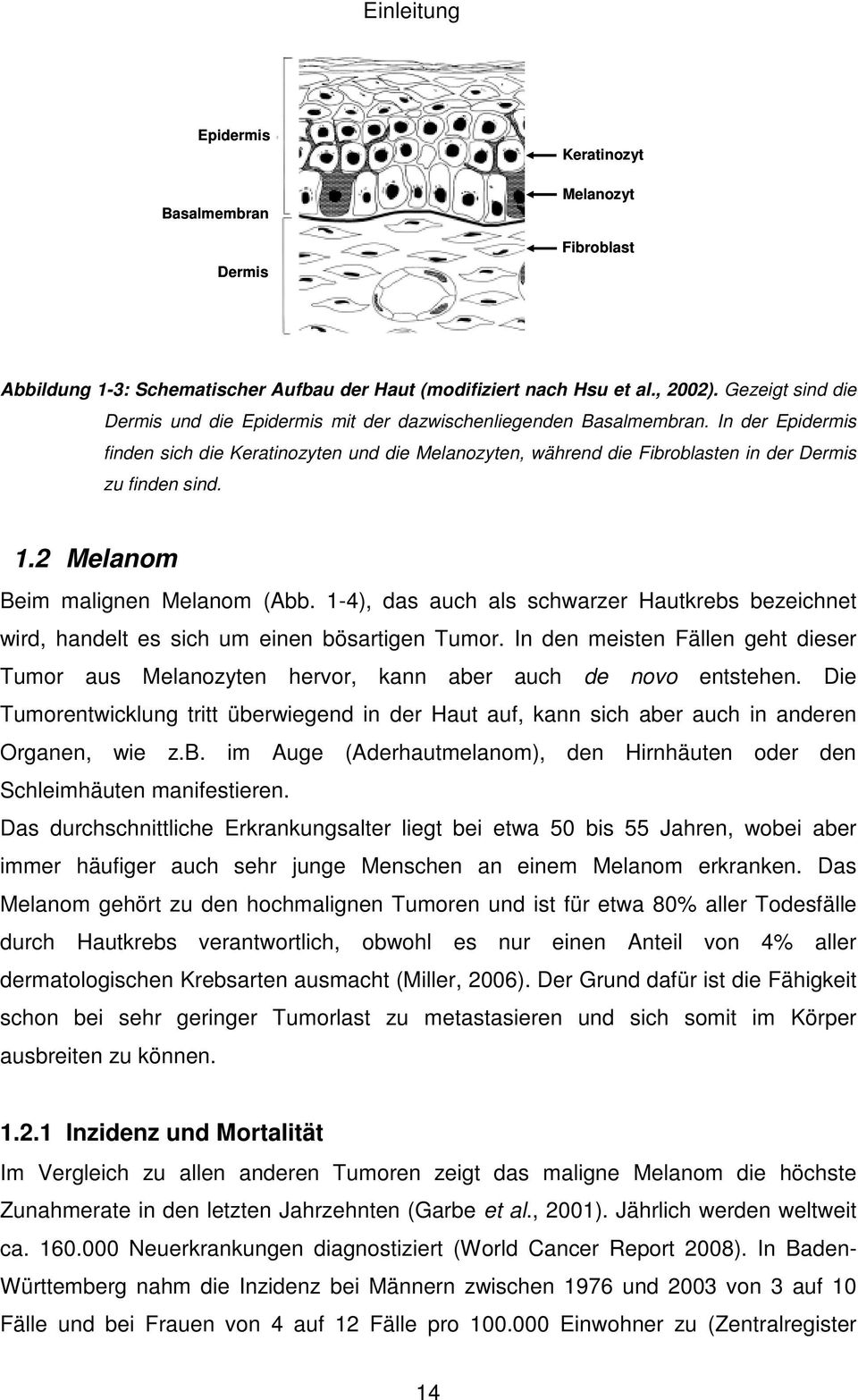 In der Epidermis finden sich die Keratinozyten und die Melanozyten, während die Fibroblasten in der Dermis zu finden sind. 1.2 Melanom Beim malignen Melanom (Abb.