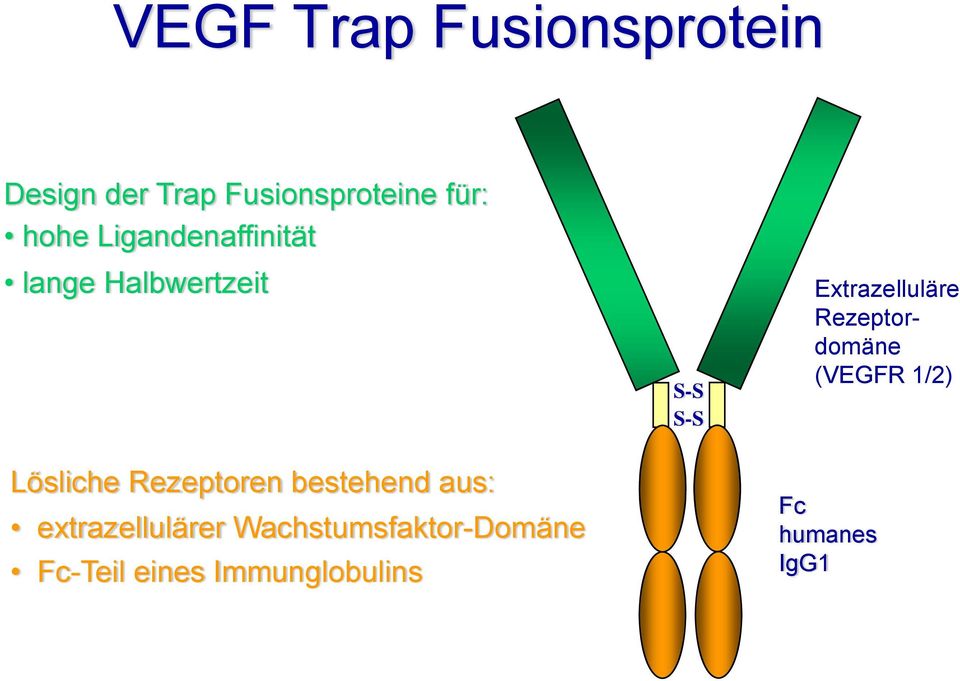 Rezeptordomäne (VEGFR 1/2) Lösliche Rezeptoren bestehend aus: