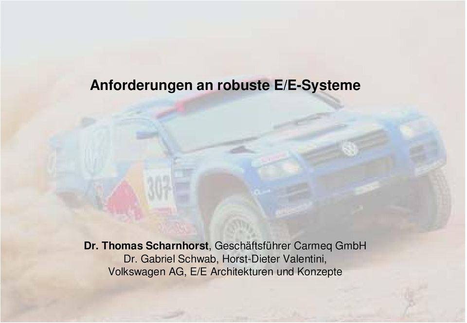 Gabriel Schwab, Horst-Dieter Valentini, Volkswagen AG,