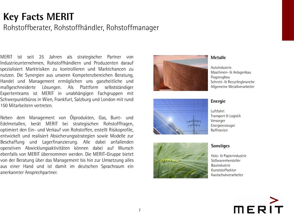 Als Plattform selbstständiger Expertenteams ist MERIT in unabhängigen Fachgruppen mit Schwerpunktbüros in Wien, Frankfurt, Salzburg und London mit rund 150 Mitarbeitern vertreten.