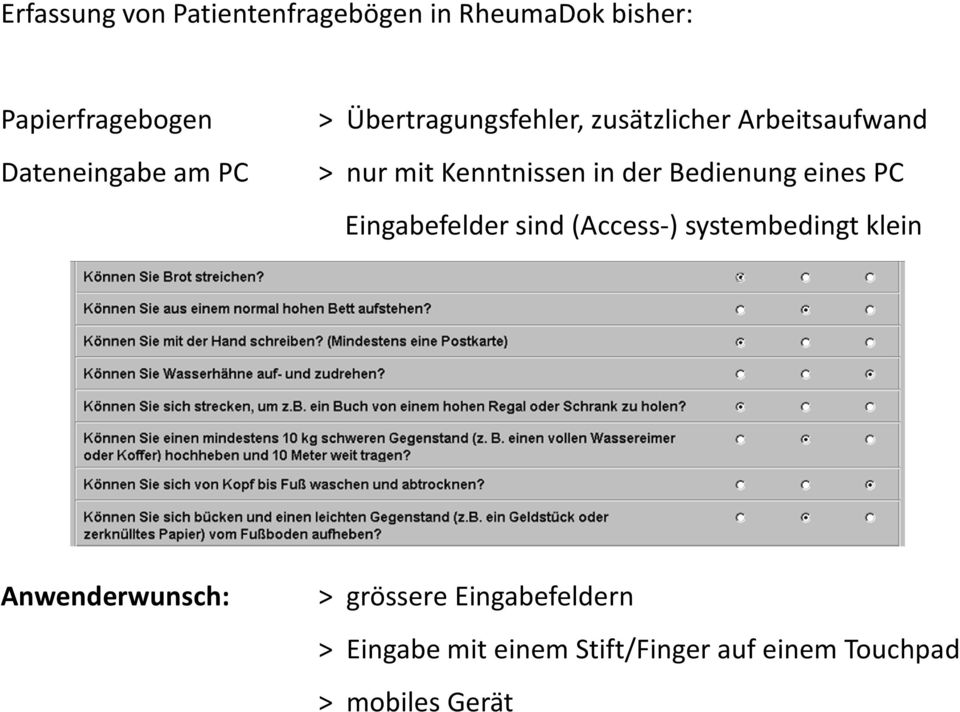 Bedienung eines PC Eingabefelder sind (Access-) systembedingt klein Anwenderwunsch: >