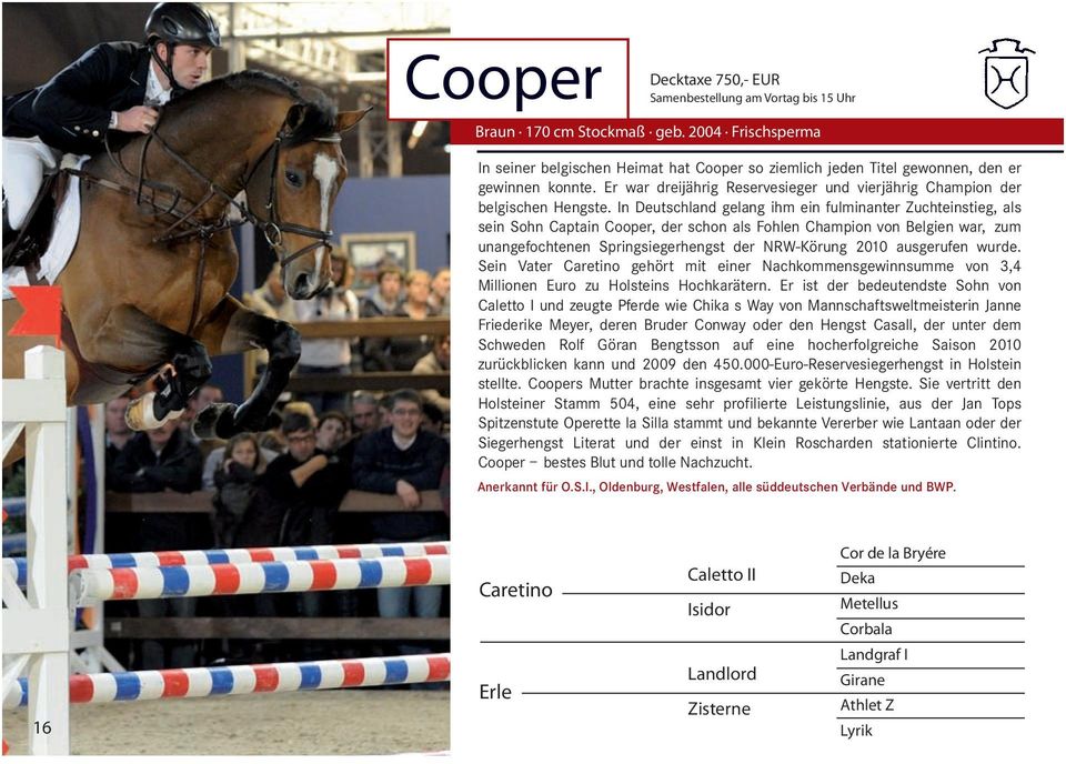 In Deutschland gelang ihm ein fulminanter Zuchteinstieg, als sein Sohn Captain Cooper, der schon als Fohlen Champion von Belgien war, zum unangefochtenen Springsiegerhengst der NRW-Körung 2010