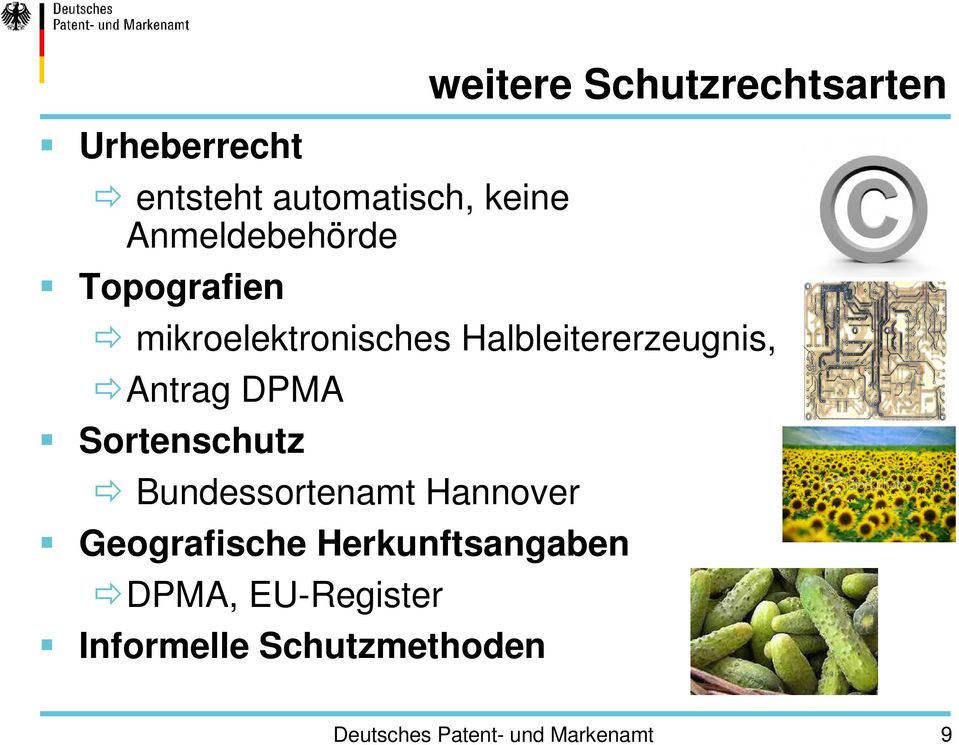 Halbleitererzeugnis, Antrag DPMA Sortenschutz Bundessortenamt