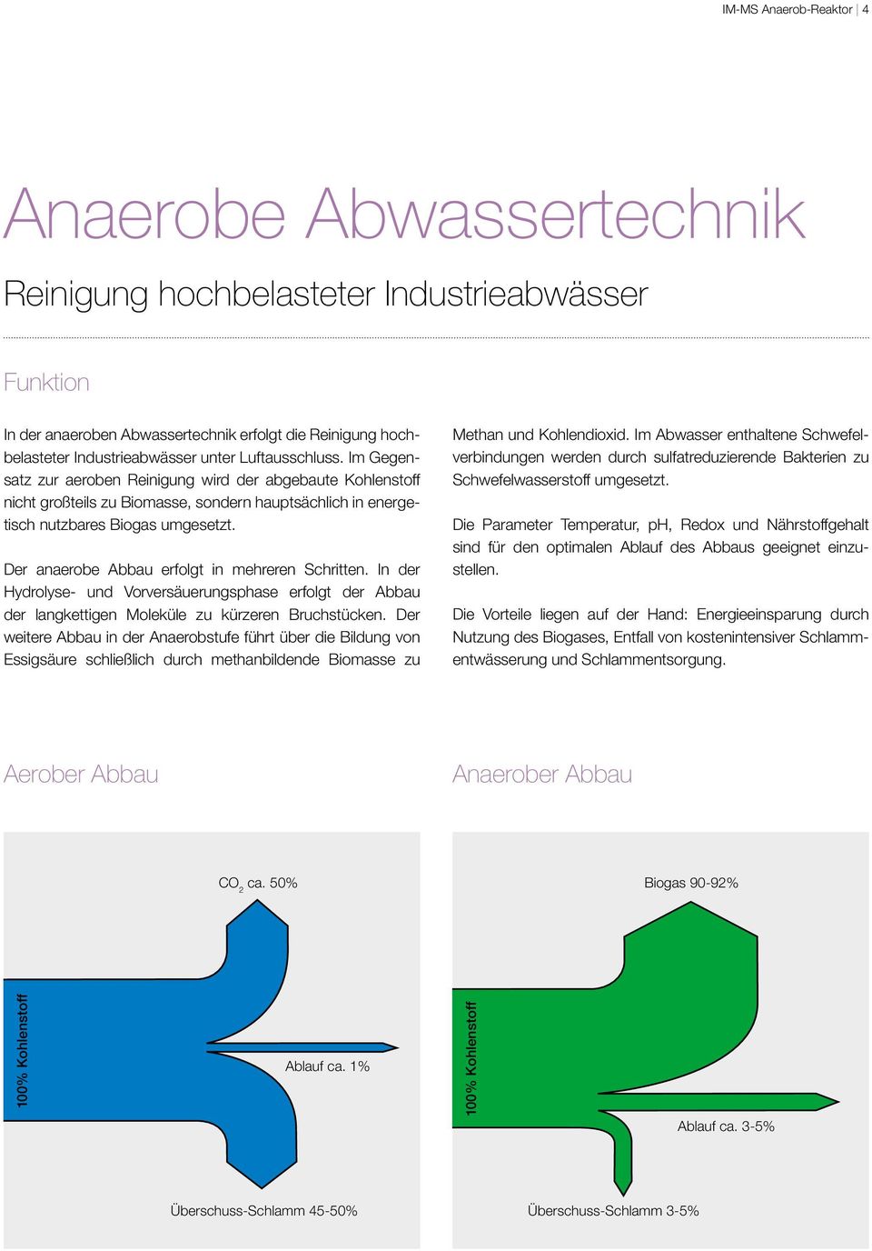 Der anaerobe Abbau erfolgt in mehreren Schritten. In der Hydrolyse- und Vorversäuerungsphase erfolgt der Abbau der langkettigen Moleküle zu kürzeren Bruchstücken.