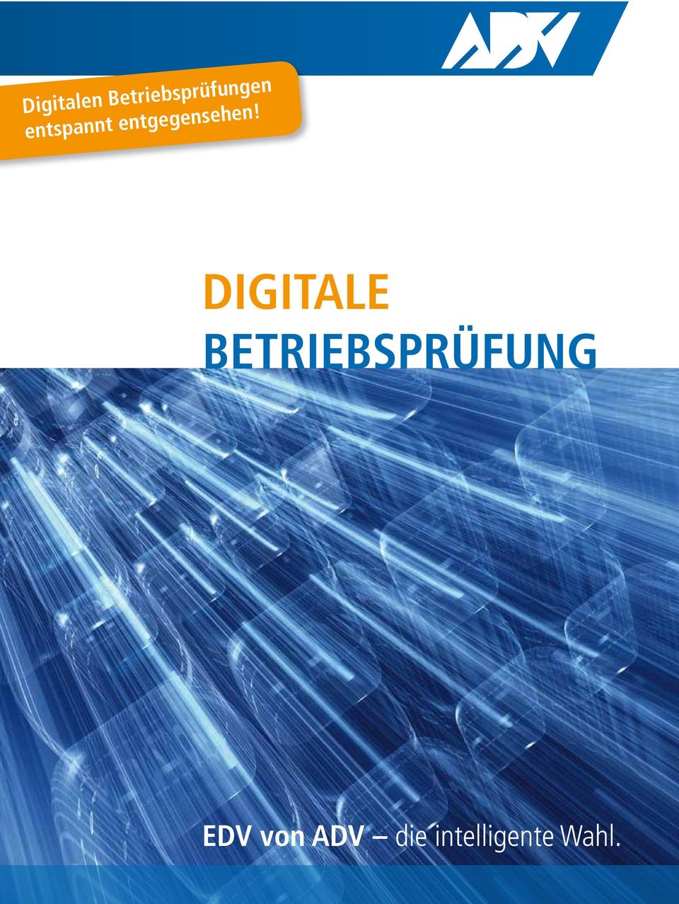 DIGITALE BETRIEBSPRÜFUNG