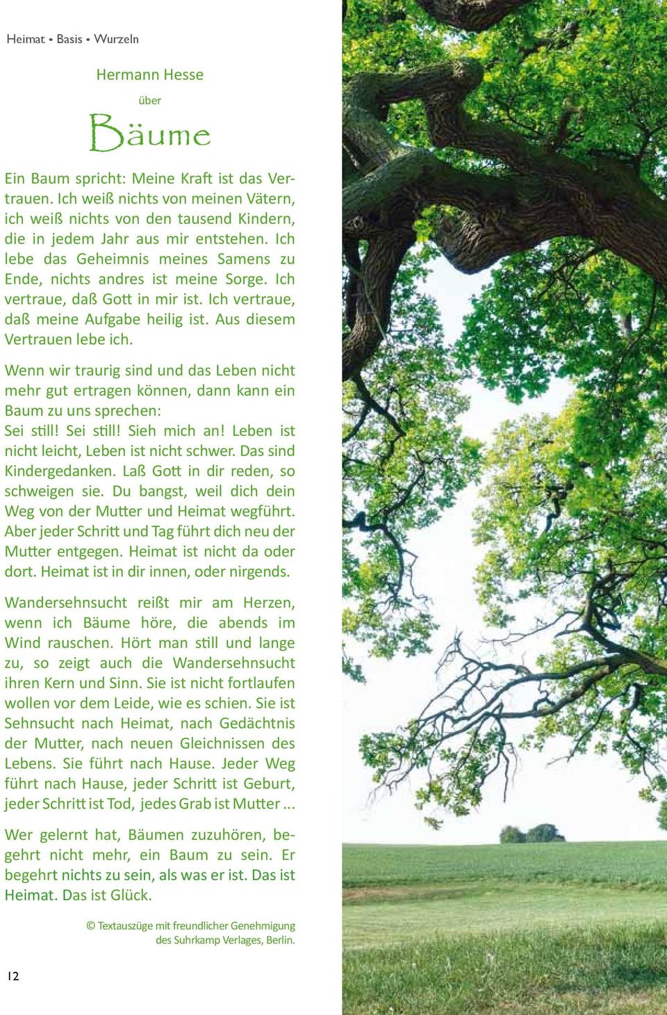 Hermann hesse zitate bäume