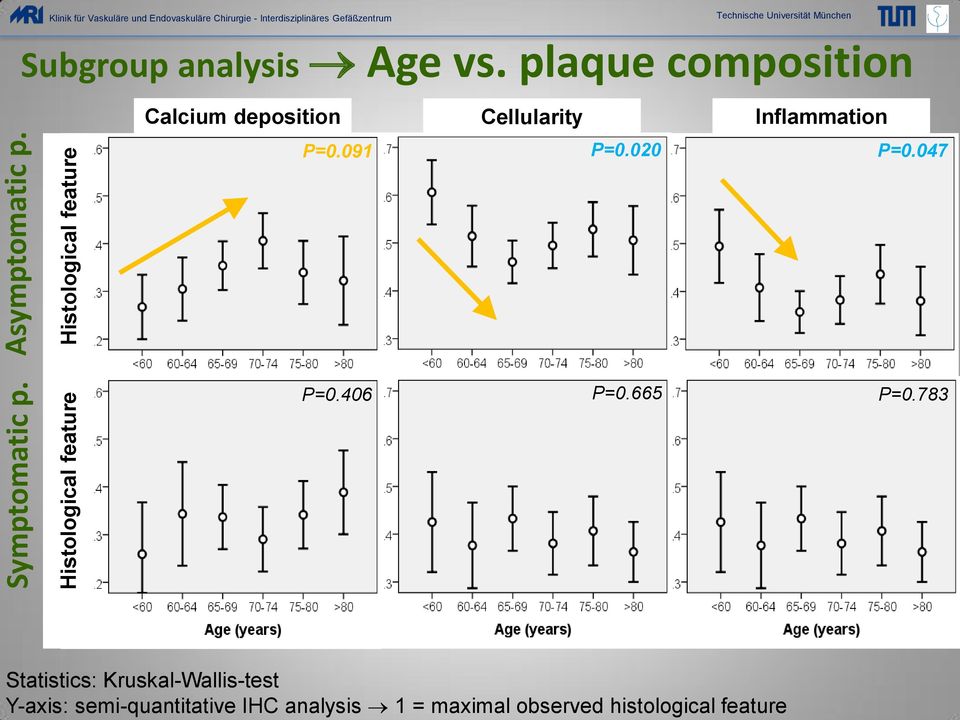 histological feature Klinik für Vaskuläre und Endovaskuläre Chirurgie - Interdisziplinäres