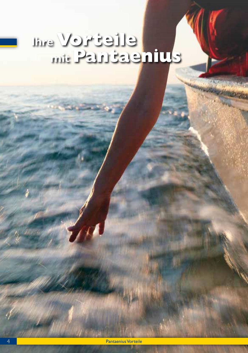 Pantaenius 4