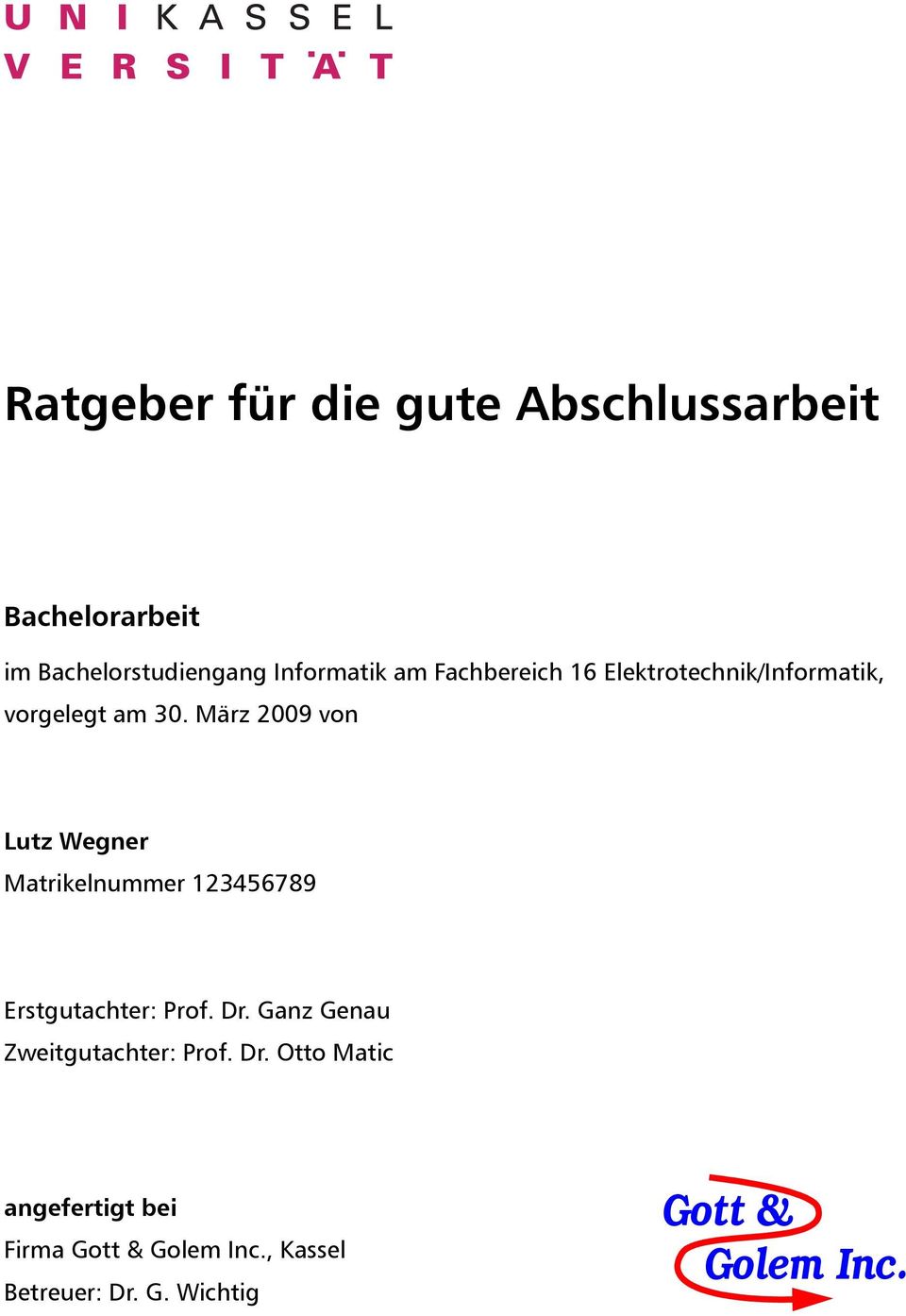 März 2009 von Lutz Wegner Matrikelnummer 123456789 Erstgutachter: Prof. Dr.