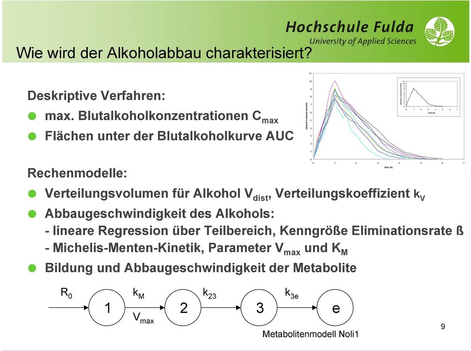 Verteilungsvolumen für Alkohol V dist, Verteilungskoeffizient k V Abbaugeschwindigkeit des Alkohols: - lineare Regression