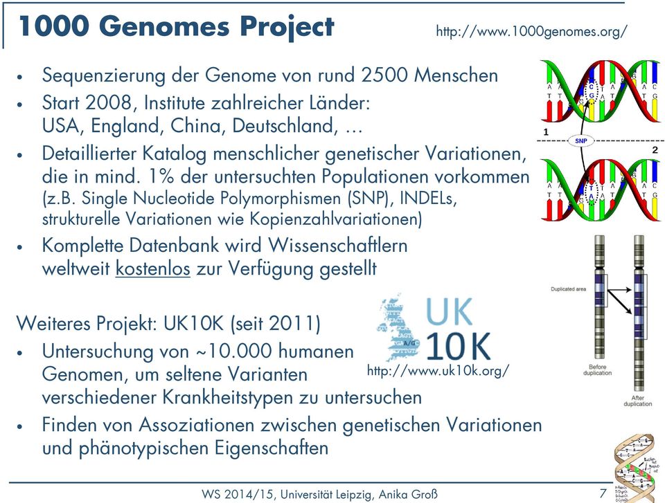 mind. 1% der untersuchten Populationen vorkommen (z.b.