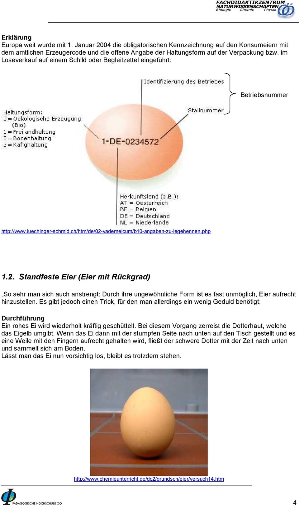 vademeicum/b10-angaben-zu-legehennen.php 1.2. Standfeste Eier (Eier mit Rückgrad) So sehr man sich auch anstrengt: Durch ihre ungewöhnliche Form ist es fast unmöglich, Eier aufrecht hinzustellen.