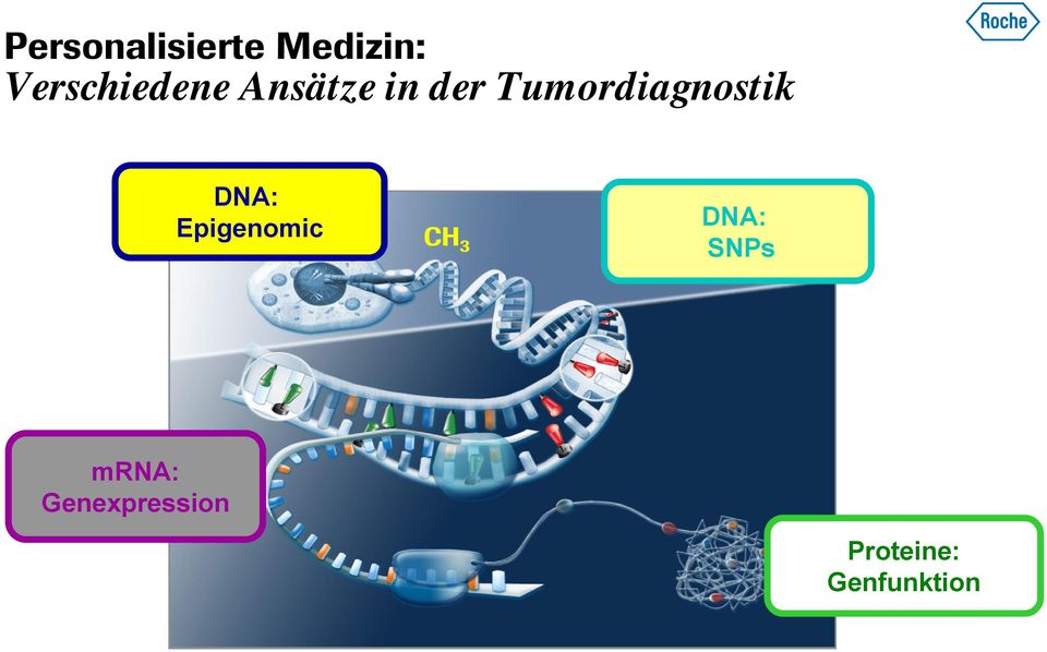 Tumordiagnostik DNA: Epigenomic CH