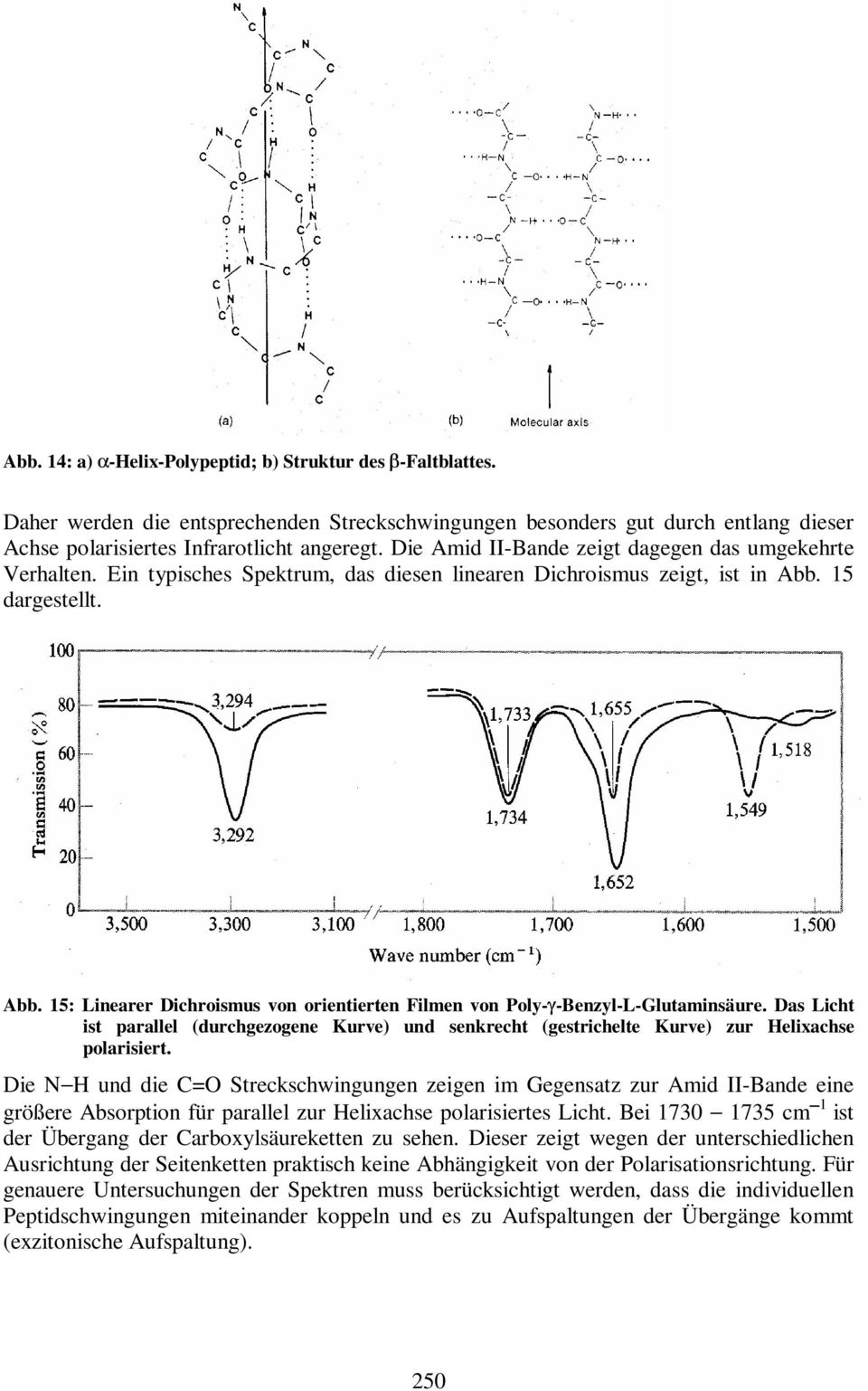 15 dargestellt. Abb. 15: Linearer Dichroismus on orientierten Filmen on Poly-γ-Benzyl-L-Glutaminsäure.