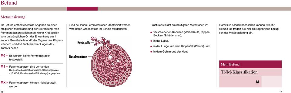 M0 = Es wurden keine Fernmetastasen festgestellt M1 = Fernmetastasen sind vorhanden Die genaue Lokalisation wird mit Abkürzungen wie z. B.