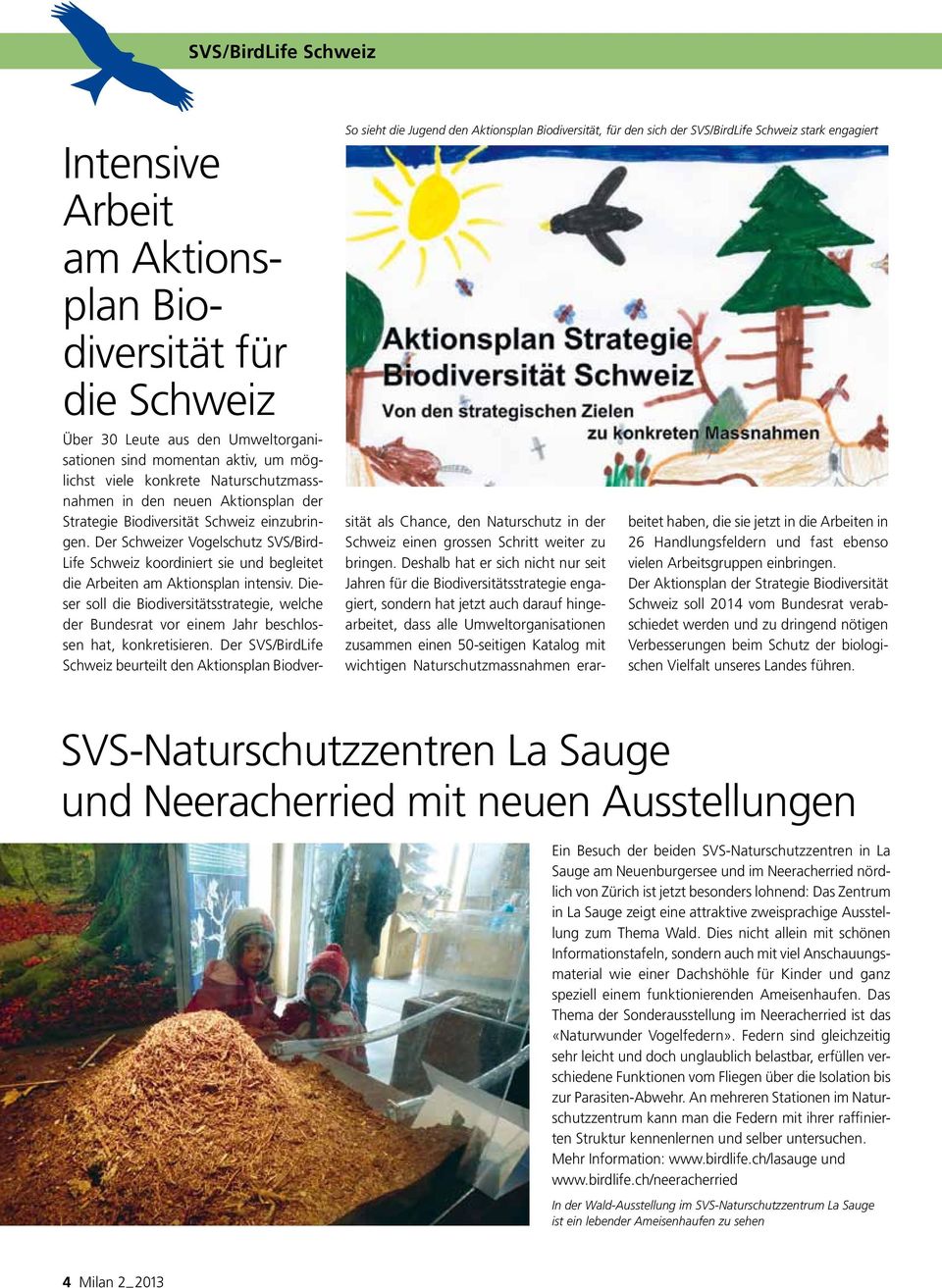 Der Schweizer Vogelschutz SVS/Bird Life Schweiz koordiniert sie und begleitet die Arbeiten am Aktionsplan intensiv.