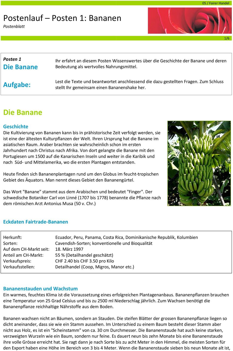 Die Banane Geschichte Die Kultivierung von Bananen kann bis in prähistorische Zeit verfolgt werden, sie ist eine der ältesten Kulturpflanzen der Welt.