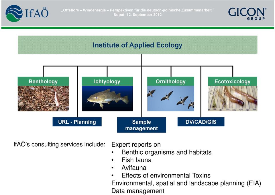 Expert reports on Benthic organisms and habitats Fish fauna Avifauna Effects of