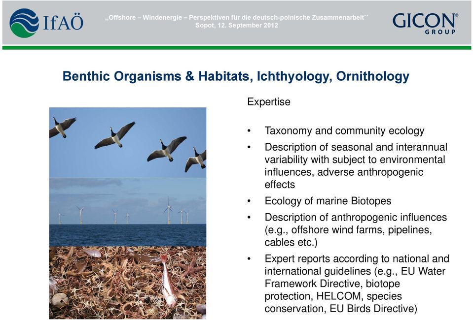 Description of anthropogenic influences (e.g., offshore wind farms, pipelines, cables etc.