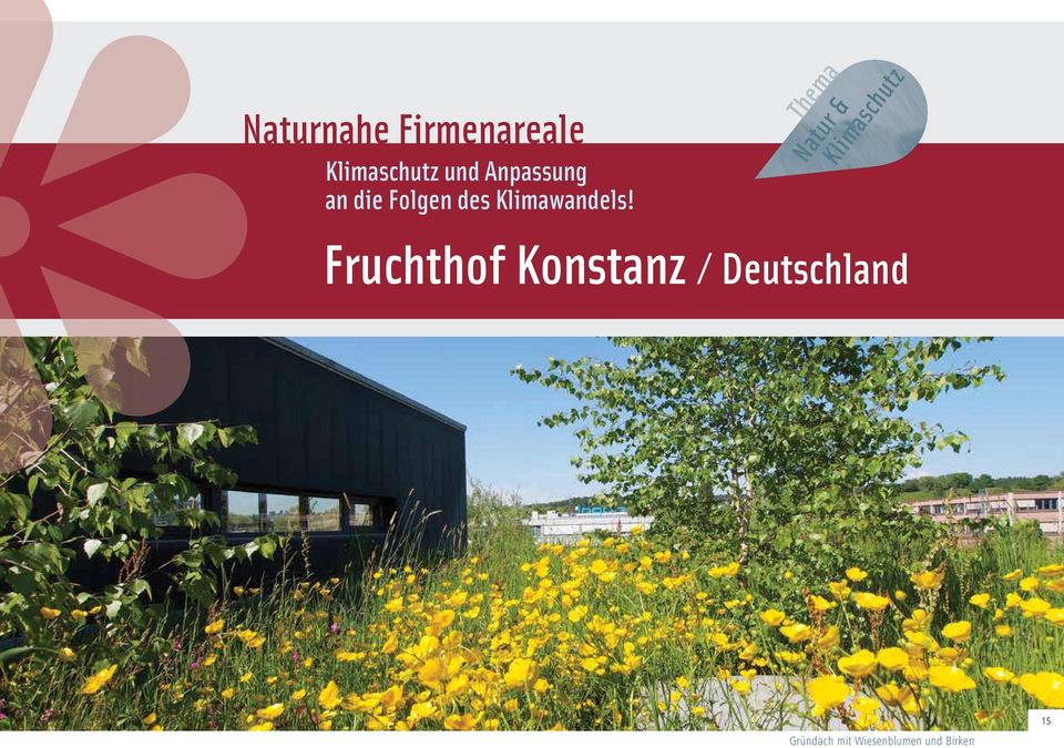 Thema Natur & Klimaschutz Fruchthof Konstanz