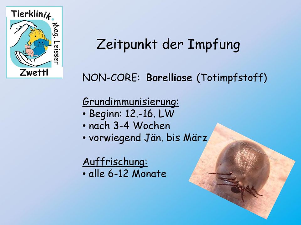 Grundimmunisierung: Beginn: 12.-16.