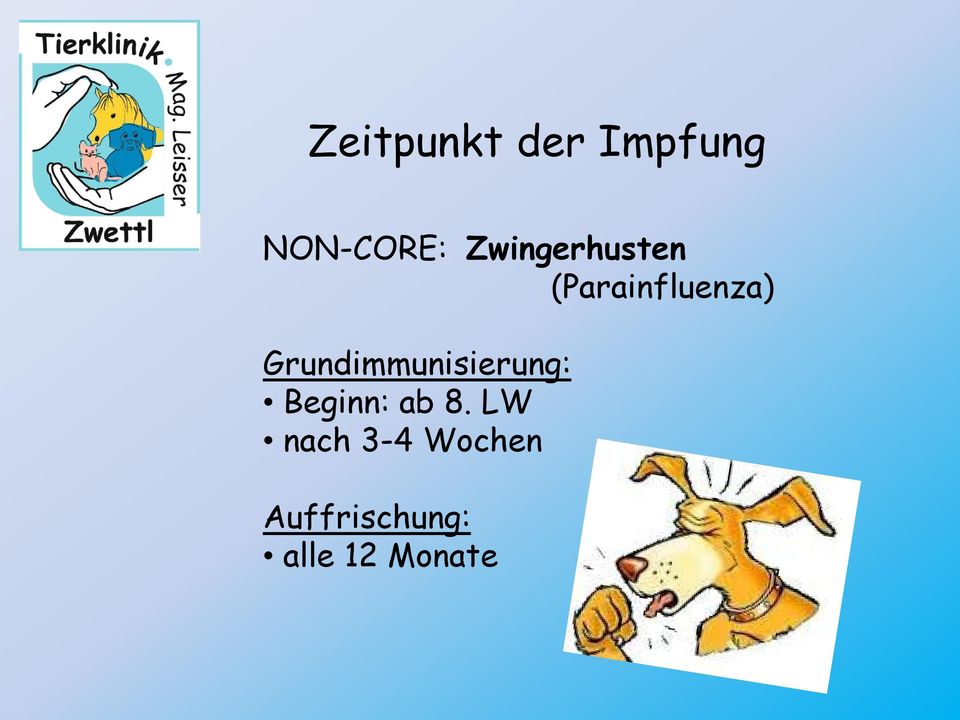Grundimmunisierung: Beginn: ab 8.