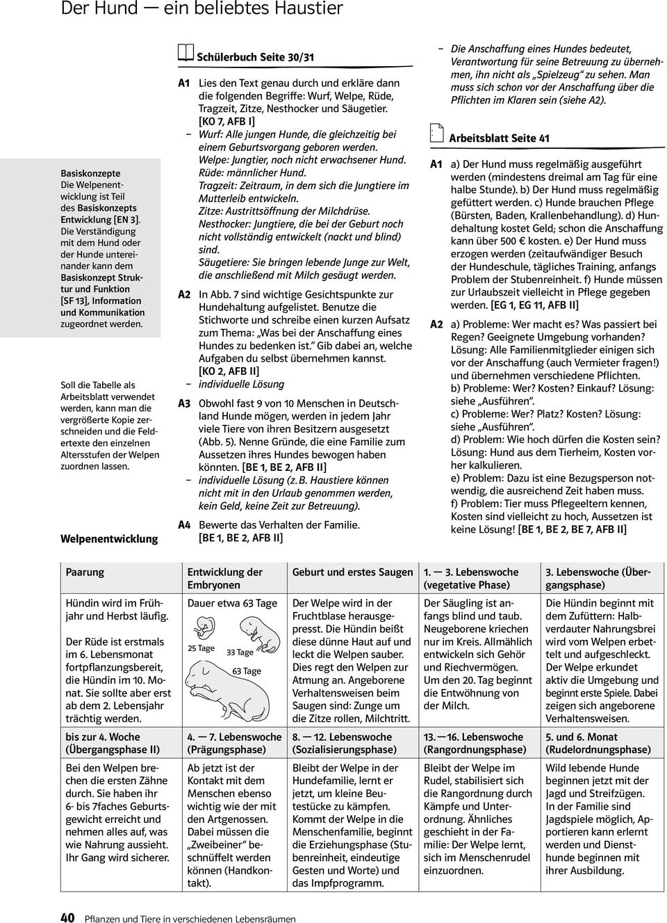 Soll die Tabelle als Arbeitsblatt verwendet werden, kann man die vergrößerte Kopie zerschneiden und die Feldertexte den einzelnen Altersstufen der Welpen zuordnen lassen.