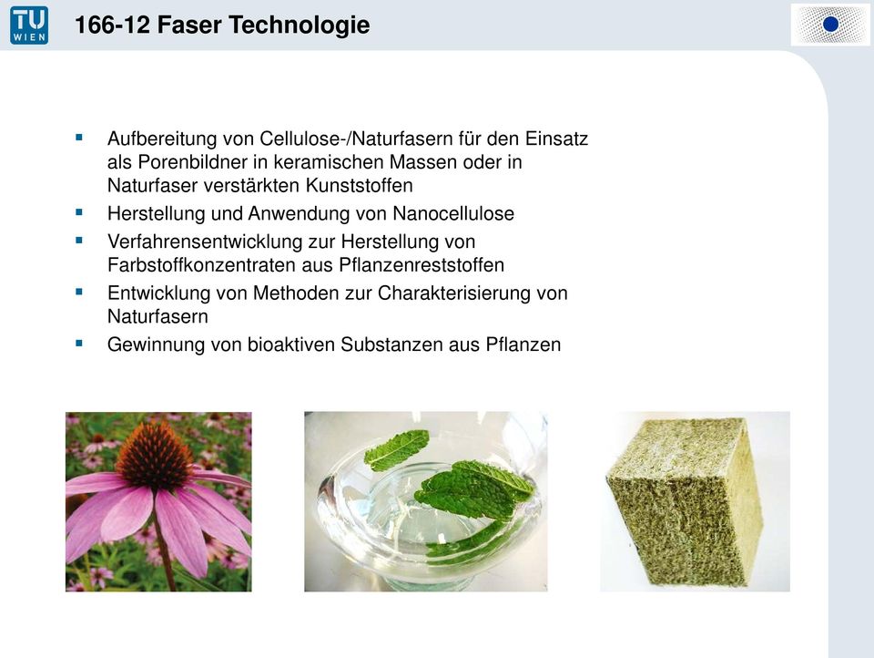 Nanocellulose Verfahrensentwicklung zur Herstellung von Farbstoffkonzentraten aus Pflanzenreststoffen