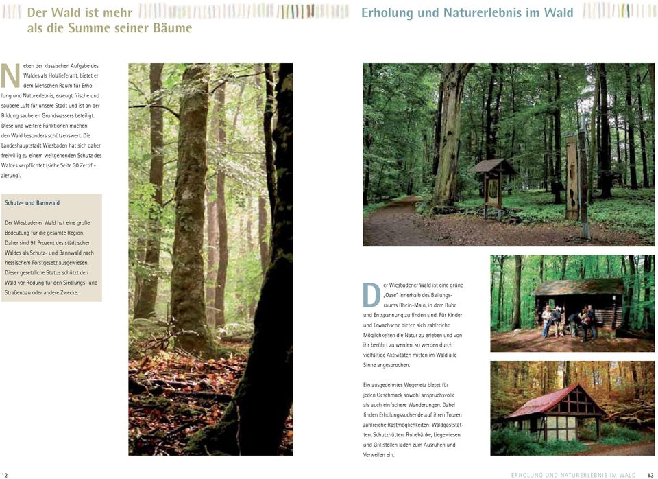 Die Landeshauptstadt Wiesbaden hat sich daher freiwillig zu einem weitgehenden Schutz des Waldes verpflichtet (siehe Seite 30 Zertifizierung).